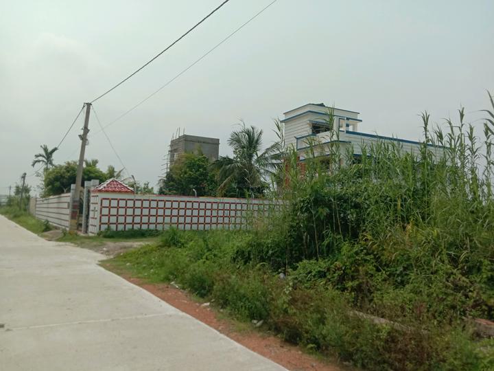 Apparent JB Garden Main Image 1