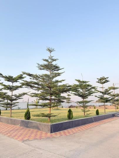 Himadri Ras Laxmi Main Image 1