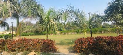 Venus Silicon City AA Plot View 3