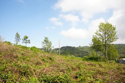 Image of 1740 Sq.ft Residential Plot / Land for sale in Kotagiri, Ooty for Rs. 18000000