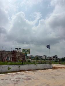 Bagru plot Plot View 3