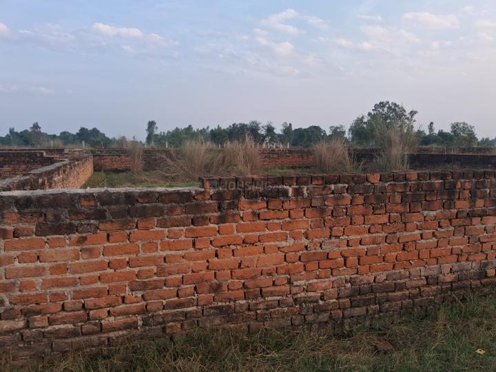 Residential 1200 Sqft Plot for sale at Dular Mau, Lucknow Property ID