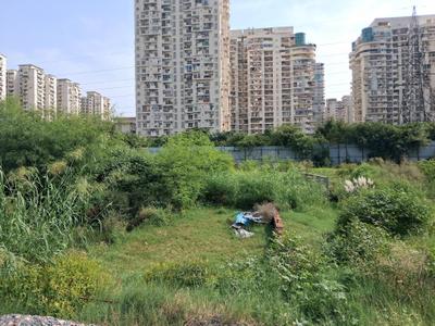 Image of 900 Sq.ft Residential Plot / Land for sale in Sector 76, Noida for Rs. 17500000