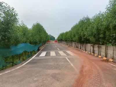Image of 131 Sq.ft Residential Plot / Land for sale in Spiti Heritage Homes, Pataudi, Gurgaon for Rs. 14410000
