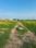 Knowledge Park 4 Plot View 2