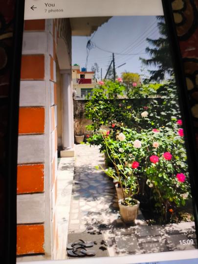 Dhandera Main Image 1