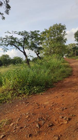 Vikarabad Main Image 1