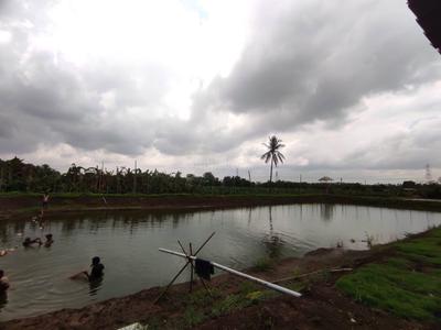 Image of 6000 Sq.ft Residential Plot / Land for sale in Jarway Alias Hirapur, Raipur for Rs. 3450000