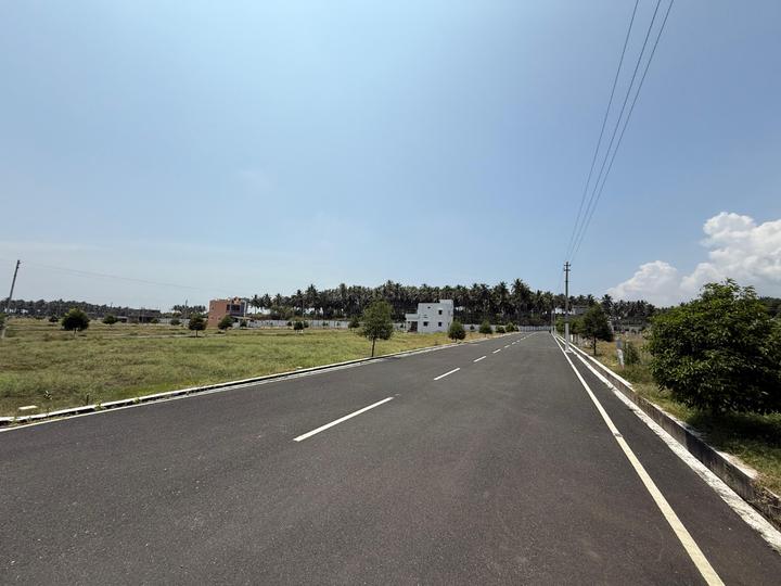 Oak Tree Main Image 1