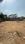 vanshri Main Image 1