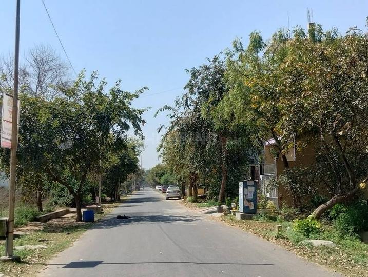 chi pai Main Image 1