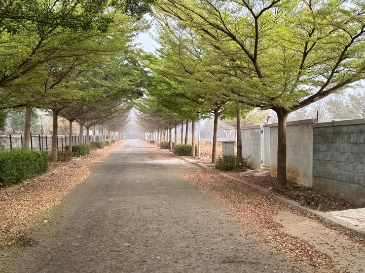 KNS Oasis Main Image 1