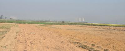 Image of 9072 Sq.ft 2 BHK Independent House for sale in Noida Extension, Greater Noida for Rs. 2500000