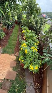 Image of 4250 Sq.ft 5 BHK Apartment / Flat for sale in Bavdhan, Pune for Rs. 70000000