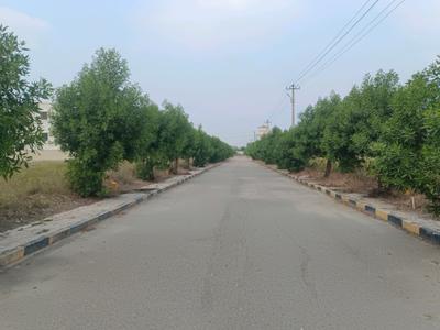 Image of 167 Sq.ft Residential Plot / Land for sale in Kompally, Hyderabad for Rs. 9500009