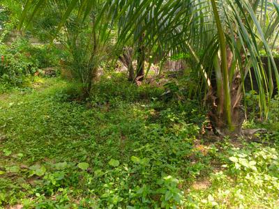 Image of 5510 Sq.ft Residential Plot / Land for sale in Urwa, Mangalore for Rs. 37950000