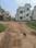 Dharitri New Royal Enclave Internal Roads 1