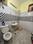 Bathroom Image of Ss in Sector 41, Noida