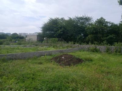 Phase 3 Plot View 1