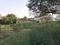 Block D Plot View 1