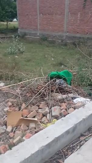 Malihabad Main Image 1