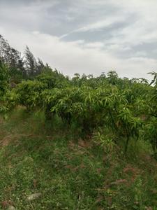 Image of 1500 Sq.ft Residential Plot / Land for sale in Rudraram, Sangareddy for Rs. 4500000