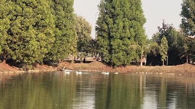 Image of 1500 Sq.ft Residential Plot / Land for sale in Sikola Bhata, Durg for Rs. 1950000