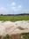 Swapnabhumi Internal Roads 2
