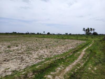 Image of 130000 Sq.ft Residential Plot / Land for sale in Thiruvallur, Chennai for Rs. 120000000