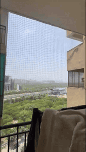 Image of 1359 Sq.ft 3 BHK Apartment / Flat for rent in Paramount Floraville, Sector 137, Noida for Rs. 42000