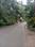 Vriddhica Heritage Plots Internal Roads 2