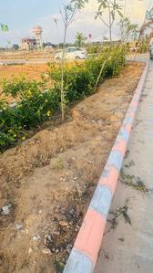 Green Valley Plot View 1