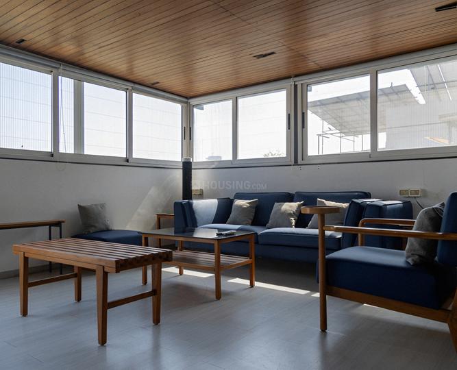 Shaligram Plush Main Image 1