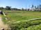 Bhagirath Kunj Plot View 2