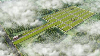 Bihta Plot View 1