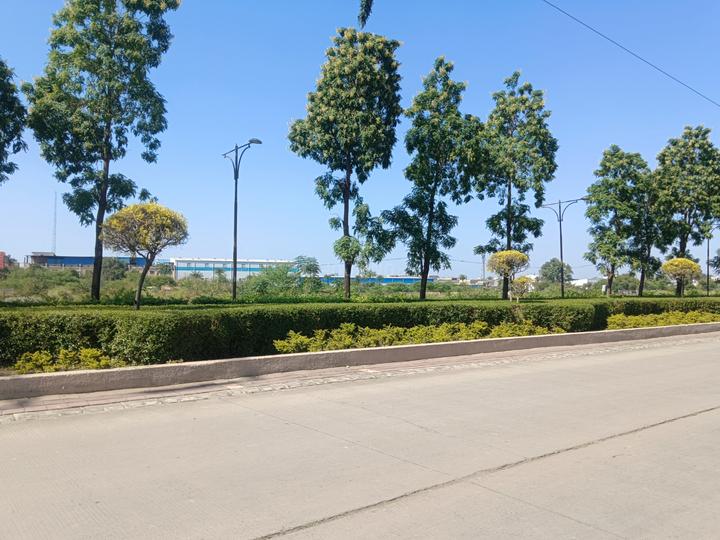 SS Infinitus Plots Main Image 1