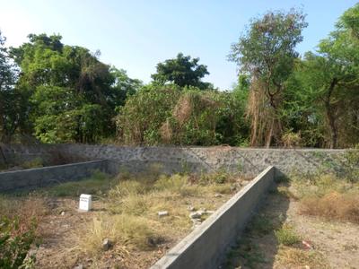 Hinjawadi Phase 2 Plot View 1