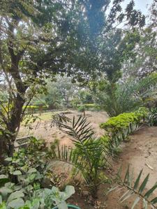 Image of 3960 Sq.ft Residential Plot / Land for sale in Thaltej, Ahmedabad for Rs. 44000000