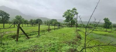 Image of 11200 Sq.ft Residential Plot / Land for sale in Murbad, Thane for Rs. 2075000