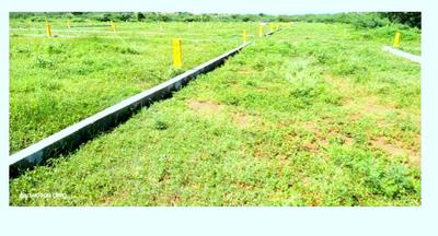 srinivasa nagar Plot View 2