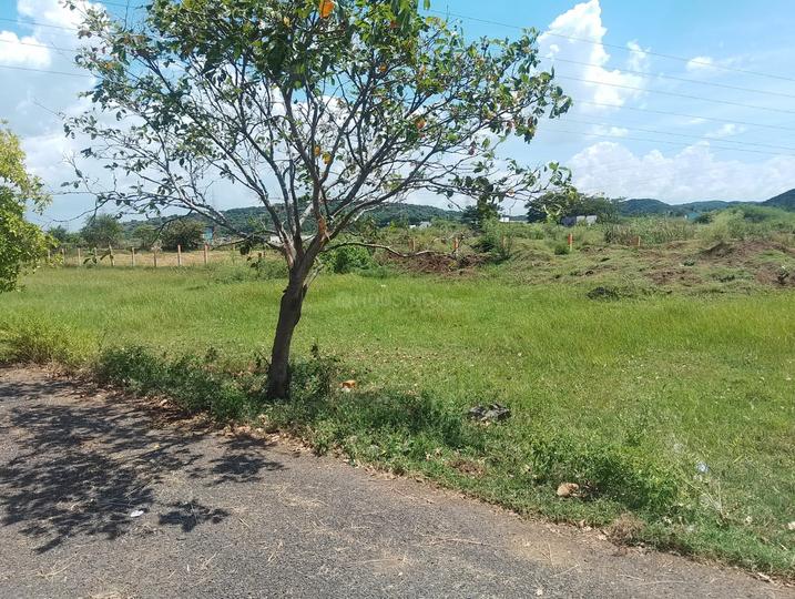Chettipunyam Main Image 1