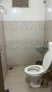 Bathroom Image of 1200 Sq.ft 2 BHK Apartment / Flat for rent in Rau Indore for Rs. 20000
