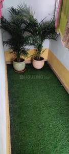 Balcony Image of 1140 Sq.ft 2 BHK Apartment / Flat for rent in Miyapur Hyderabad for Rs. 35000