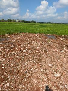 Image of 1080 Sq.ft Residential Plot / Land for sale in Wander Valley, Joka, Kolkata for Rs. 444111