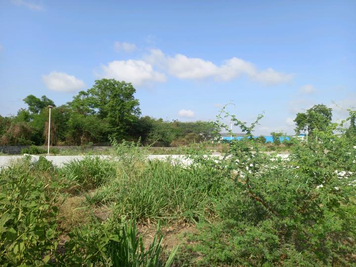 Maan Main Image 1