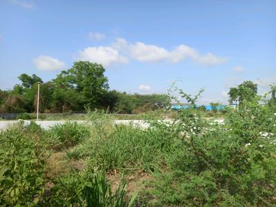 Maan Plot View 1