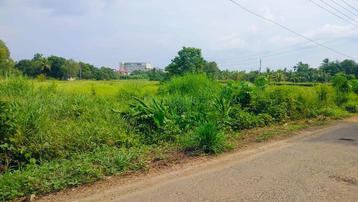 Keralarealty Main Image 1