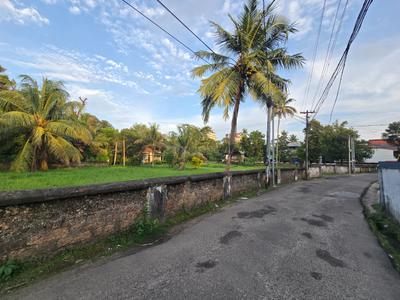 Kunnathery Thikavu Plot View 1