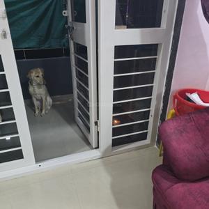Balcony Image of 990 Sq.ft 2 BHK Apartment / Flat for sale in Savata Nagar Nashik for Rs. 6500000