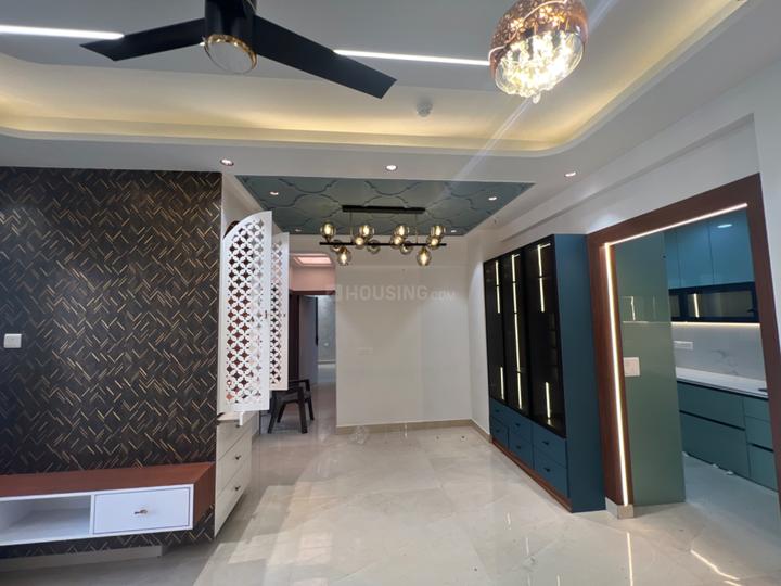 ACE Divino Main Image 1